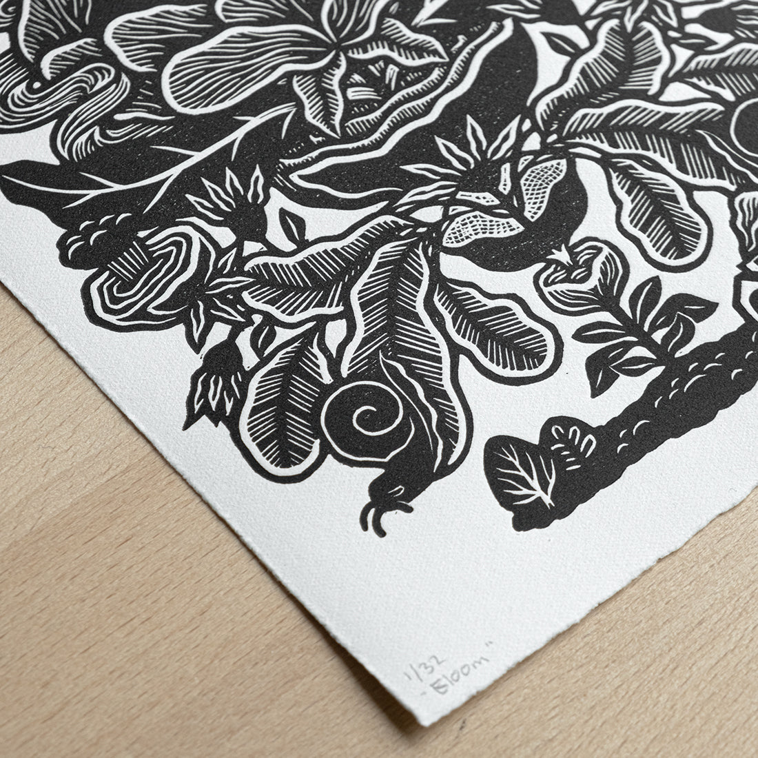 Bloom