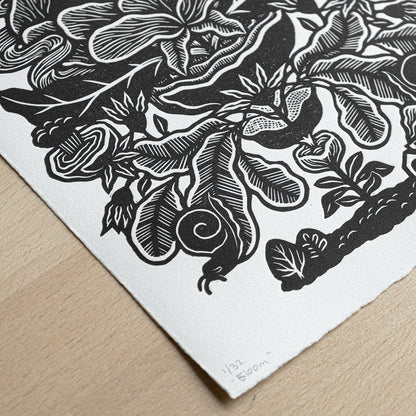 Bloom