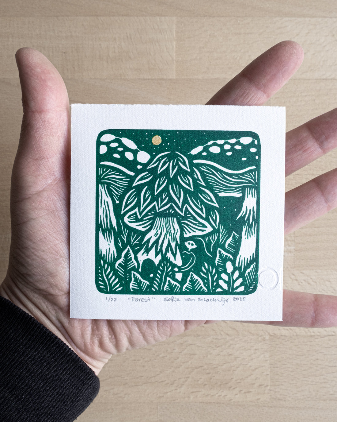 Forest